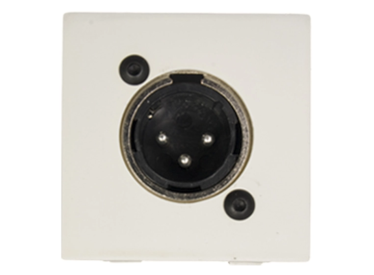 Audac CP 45 XLMW - On-wall Connection Plate with XLR male So 